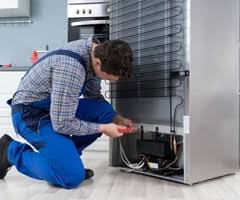 Single Refrigerator Check-up
